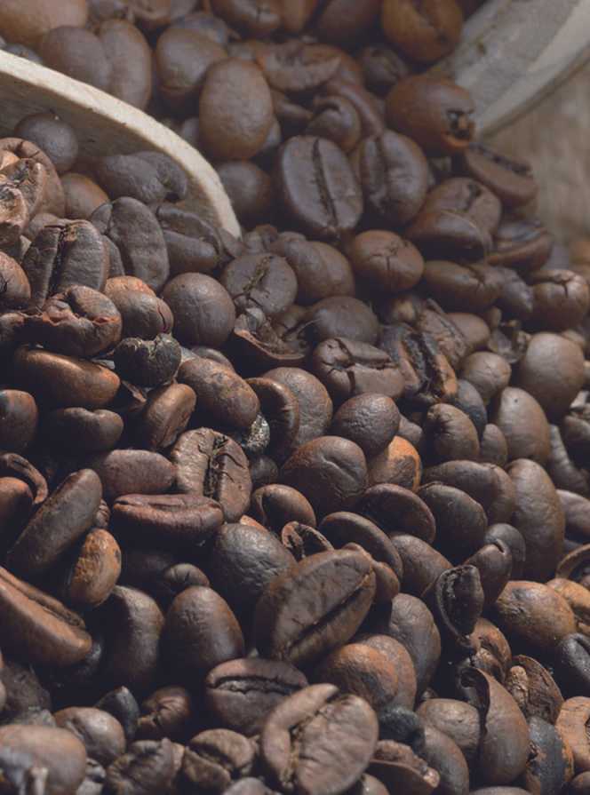 kaffeerösterei hildesheim